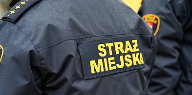 Zapuka strażnik, zapłacisz karę. Ruszyły kontrole w całej Polsce-109324