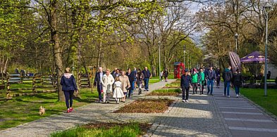 W Parku Zdrojowym będzie jaśniej-109458