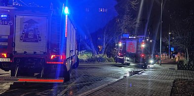 Połamane drzewa, uszkodzone auta. Straż pożarna w akcji-109634