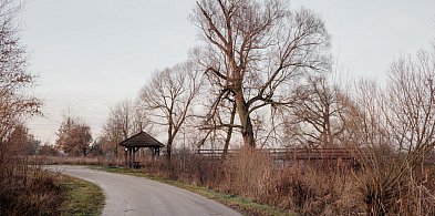 Nowa trasa pieszo-rowerowa w gminie Prażmów-110400