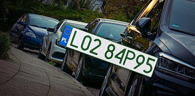 Tablice z zielonymi napisami na kolejnych autach. Nie chodzi o "elektryki"-110575