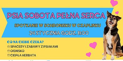 Ferie z empatią – spotkanie w schronisku w Czaplinku-110995