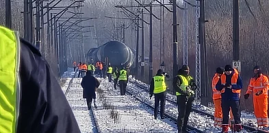 Trwają prace przy wykolejonym pociągu