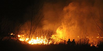 Strażacy w akcji. Gorący początek marca