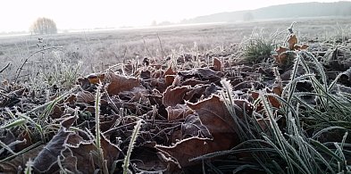 Ostrzeżenie meteo. Zima nie powiedziała ostatniego słowa