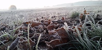 Ostrzeżenie pierwszego stopnia dla Piaseczna i okolic