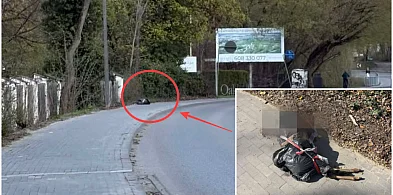 Makabryczne znalezisko w Chylicach. Zwierzę pozostawione na chodniku