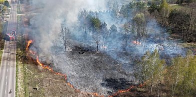 8 zastępów straży pożarnej uratowało drewniany dom