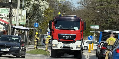Straż pożarna interweniowała w Zalesiu Dolnym