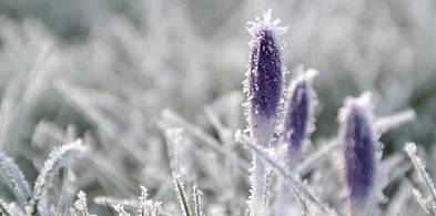 Nie uwierzysz, jak niska będzie temperatura tej nocy!