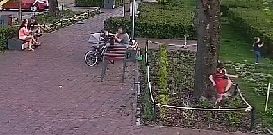 Dzieci demolowały klomby, rodzice zapłacą konsekwencje