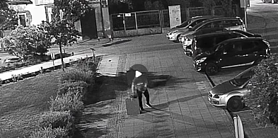 Kradł kwiatki z miejskiej rabatki... Straż Miejska dała mu szansę