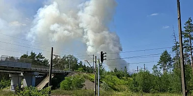 Pożar lasu w Bronisławowie. Ogień objął 8 tysięcy m kw.