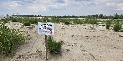 Uwaga na ptasie lęgi nad Wisłą