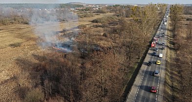 Pożar trawy! Strażacy w akcji