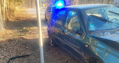 Plan nastolatka był prosty: zwalić winę na sarny