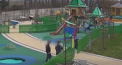 Półtorej godziny dewastacji na oczach kamer. Straż Miejska ma nagrania