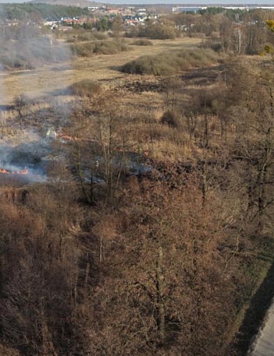 Pożar trawy! Strażacy w akcji
