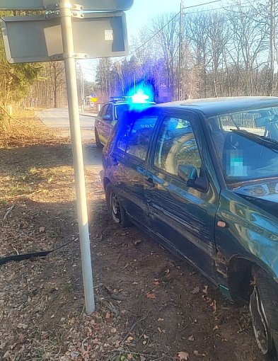 Plan nastolatka był prosty: zwalić winę na sarny