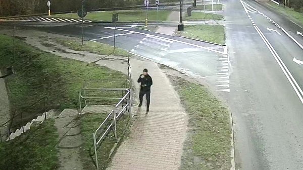 Straż miejska poszukuje informacji o mężczyźnie, który 25 października zniszczył klomby