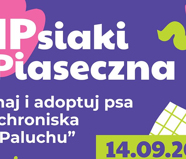 VIPsiaki z Piaseczna w parku miejskim - 108784