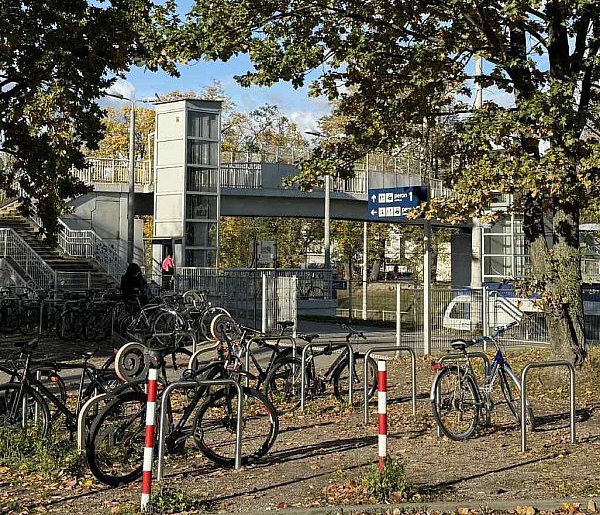 Radne w trosce o rowerzystów - 109299