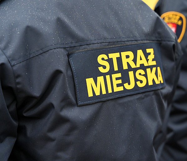 Zapuka strażnik, zapłacisz karę. Ruszyły kontrole w całej Polsce-109324
