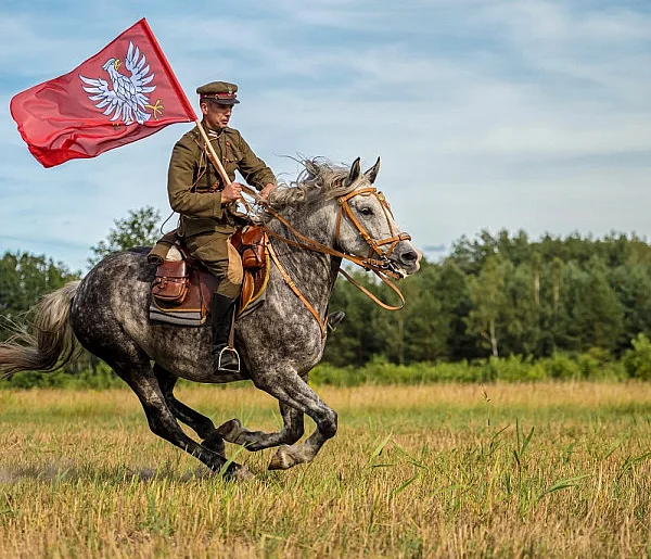 Wywieś Flagę Mazowsza - 109742