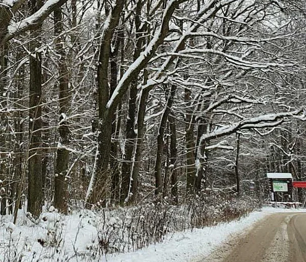 Zimowe utrudnienia w powiecie piaseczyńskim-110037