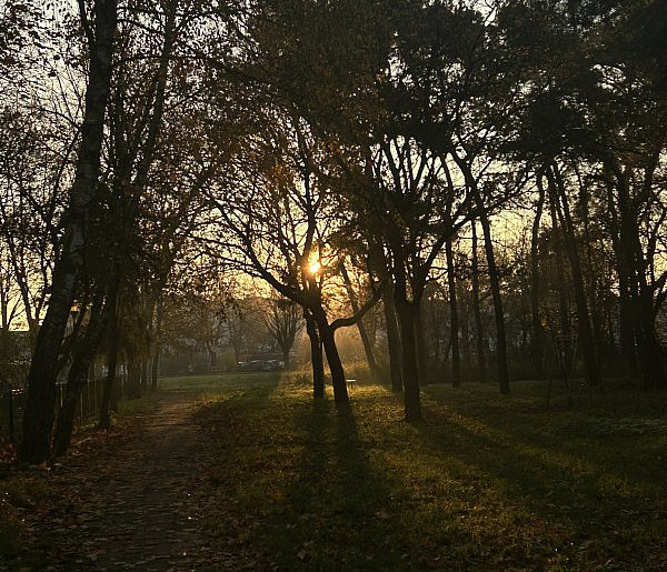 Nadchodzi najkrótszy dzień w 2025 roku. Sprawdź, kiedy przypadnie-110520