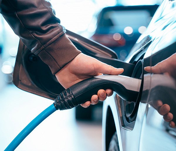 Coraz częściej dochodzi do takich kradzieży. Powody zaskakują-111050