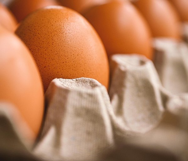 Groźne bakterie wykryte na jajach. Jest komunikat GIS