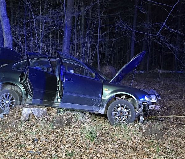 Groźne zdarzenie na drodze nr 79. Auto wypadło z trasy
