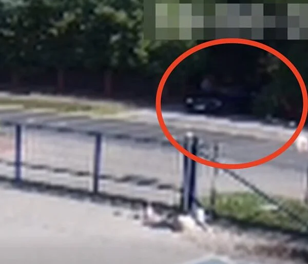 Wyjeżdżała z posesji i potrąciła użytkowniczkę hulajnogi