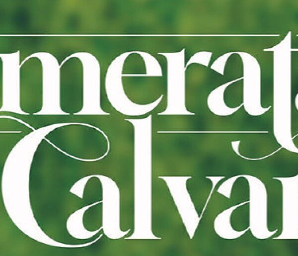 Camerata Calvaria powraca. Muzyka klasyczna, sztuka i piknik