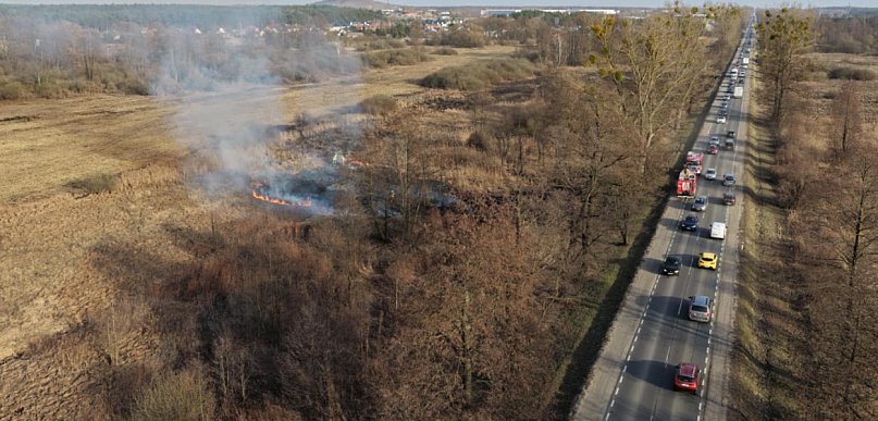 Pożar trawy! Strażacy w akcji