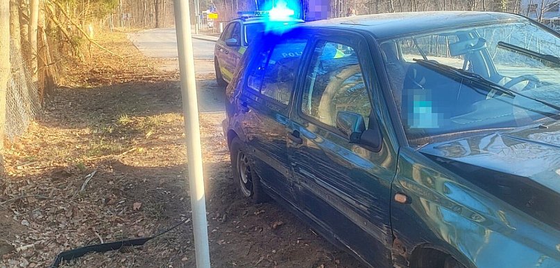 Plan nastolatka był prosty: zwalić winę na sarny