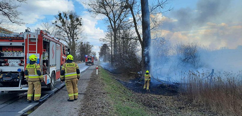 Pożar traw. Utrudnienia na trasie do DK79