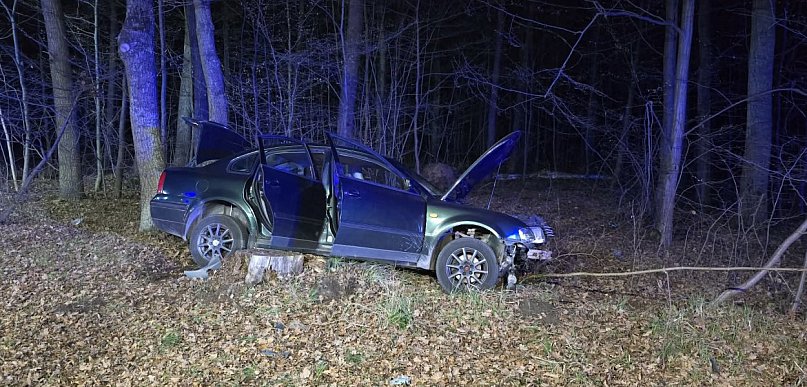 Groźne zdarzenie na drodze nr 79. Auto wypadło z trasy