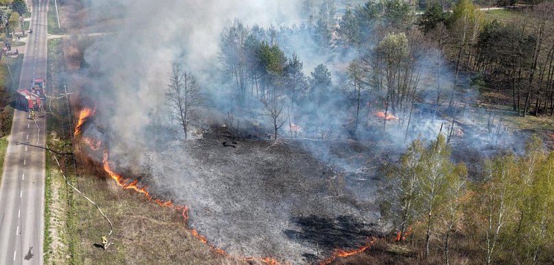 8 zastępów straży pożarnej uratowało drewniany dom