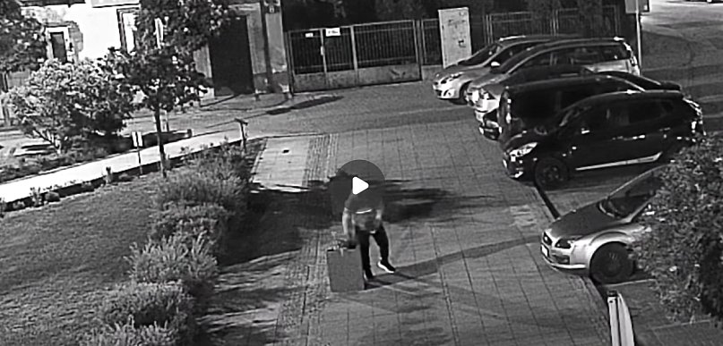 Kradł kwiatki z miejskiej rabatki... Straż Miejska dała mu szansę