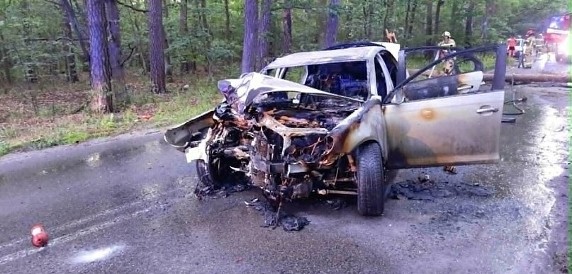 Samochód skosił  drzewo i stanął w płomieniach