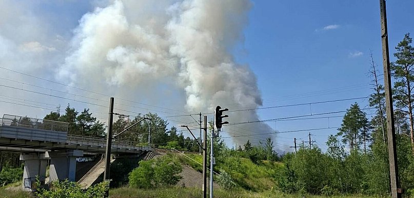 Pożar lasu w Bronisławowie. Ogień objął 8 tysięcy m kw.