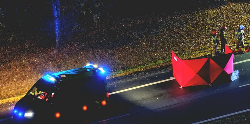 Policja poszukuje świadków tragicznego wypadku - 109583