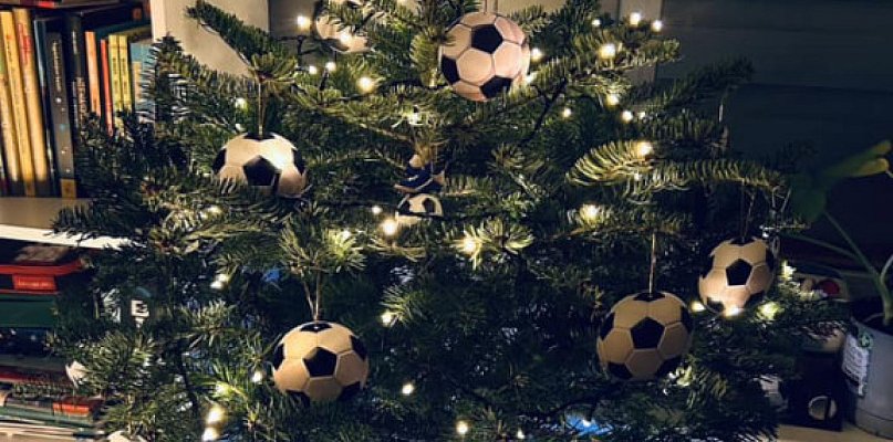 Jaka choinka w tym roku? Pochwalcie się swoim świątecznym drzewkiem - 110608