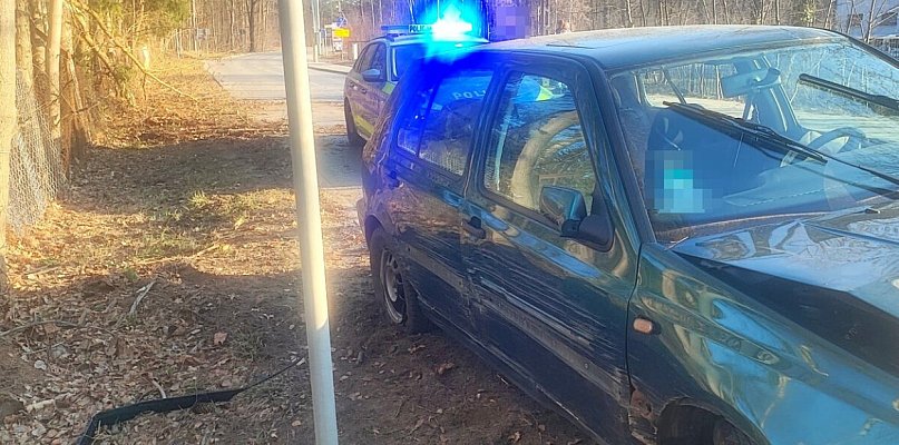 Plan nastolatka był prosty: zwalić winę na sarny