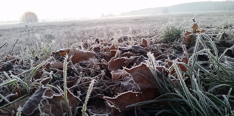 Ostrzeżenie meteo. Zima nie powiedziała ostatniego słowa