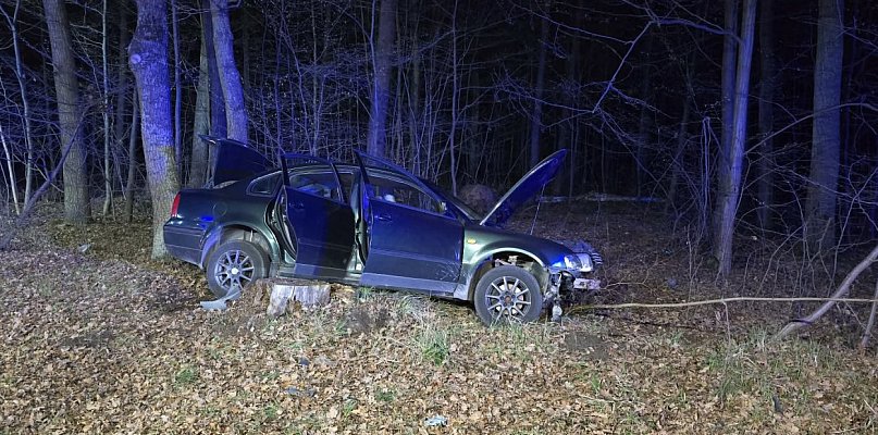 Groźne zdarzenie na drodze nr 79. Auto wypadło z trasy