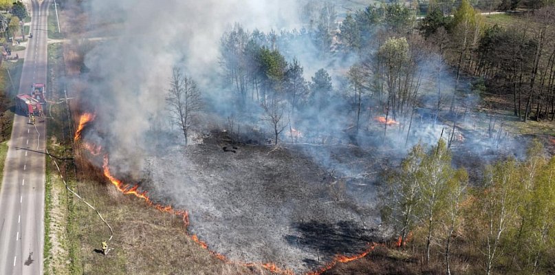 8 zastępów straży pożarnej uratowało drewniany dom