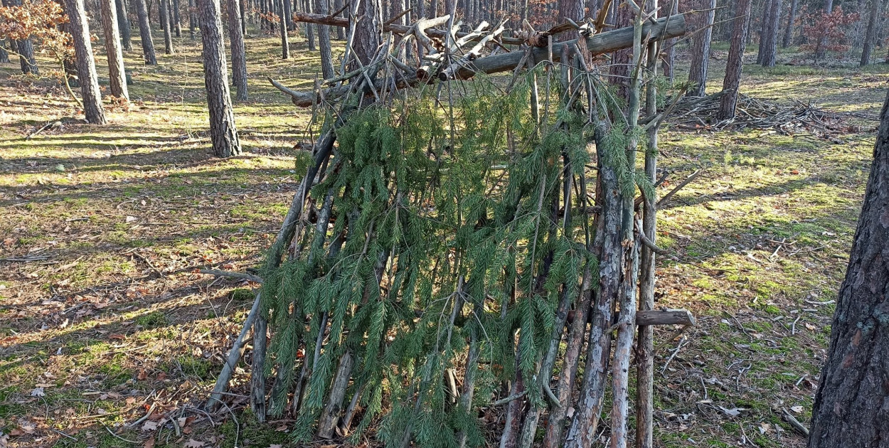 fot. www.facebook.com/p/Nadleśnictwo-Chojnów